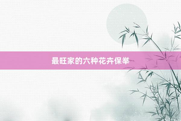 最旺家的六种花卉保举