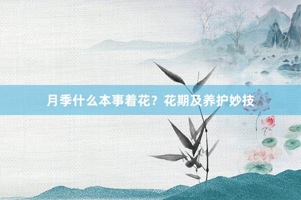 月季什么本事着花？花期及养护妙技