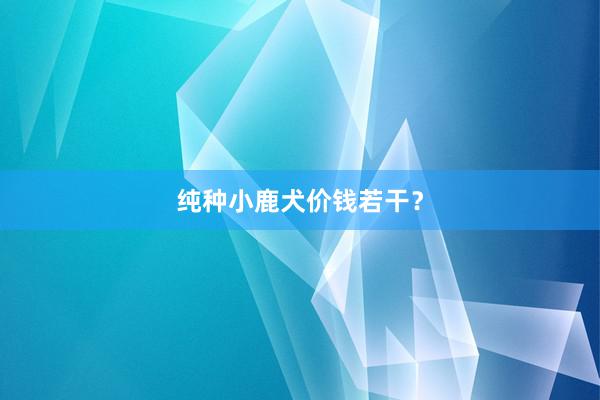 纯种小鹿犬价钱若干？