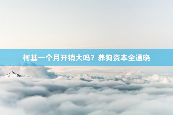 柯基一个月开销大吗？养狗资本全通晓